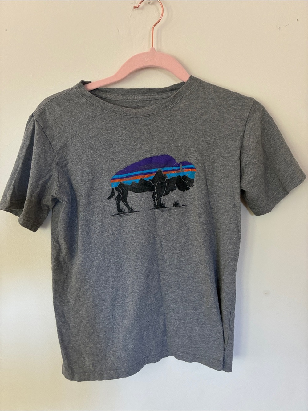 Patagonia Gray Short-Sleeve Tee with Colorful Buffalo Graphic